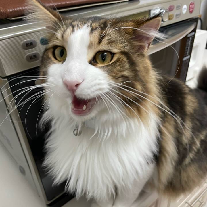 33624522 5023 48ac ad30 00f106e8386b 1648201586782