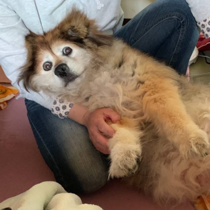 336291a4 2fc3 479a 93ab beeca8b6ad73 1656063041342