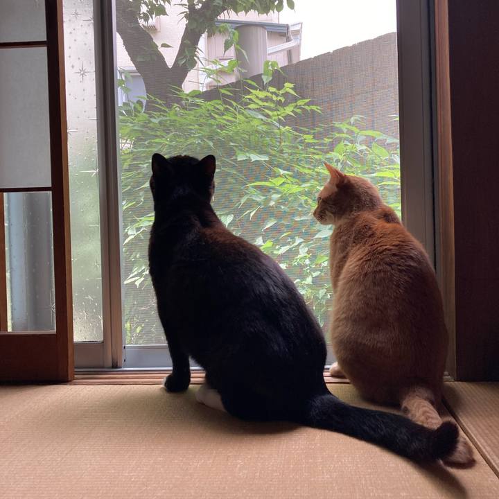 3362de3e 7f57 42f3 a10c f1f1582b7475 1621139768105