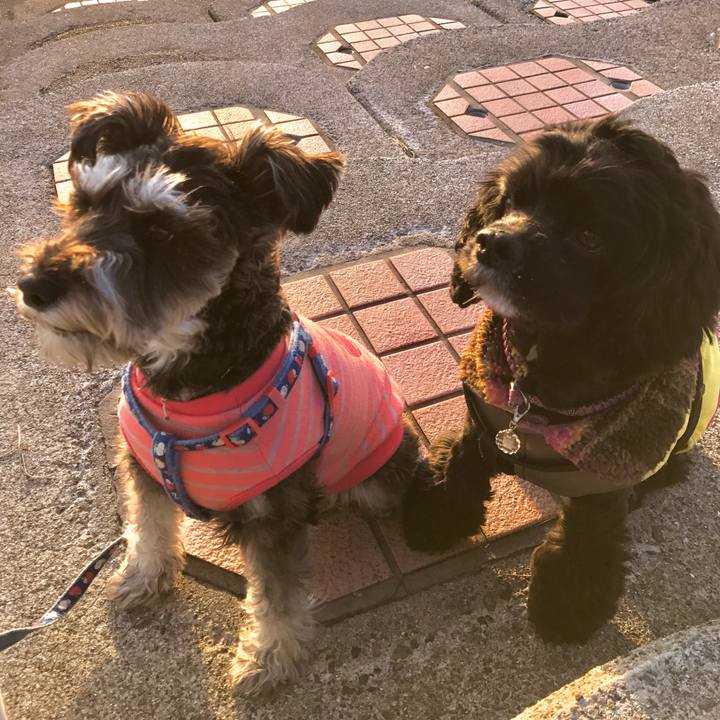 3362f9dd b1fa 4d1b a7bd 6cd0aa9db2a4 1548769280985