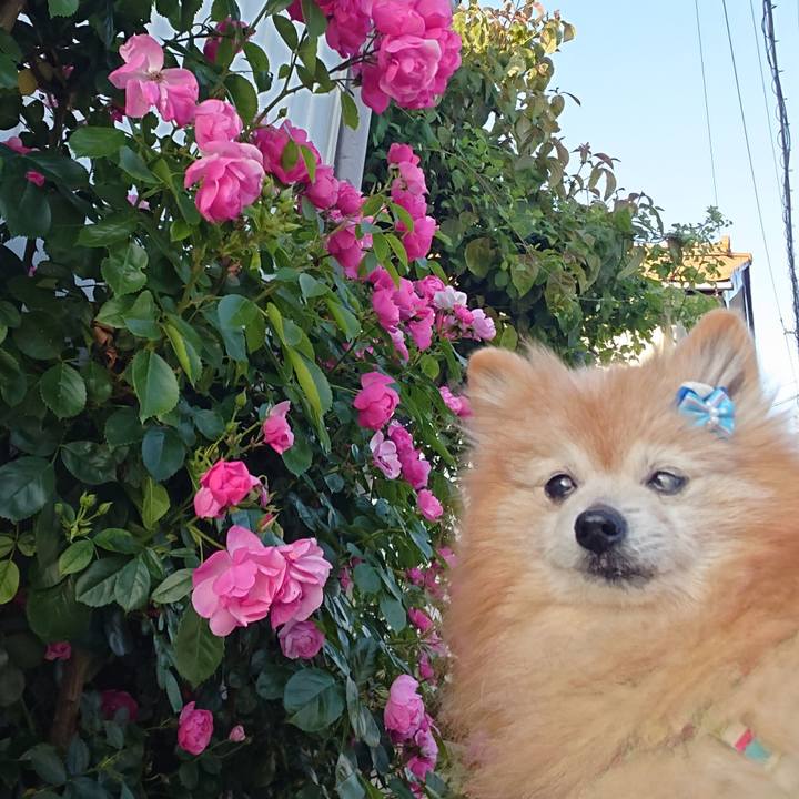 336392d7 98bc 4a96 8aaa 85e15939ec24 1653863510408