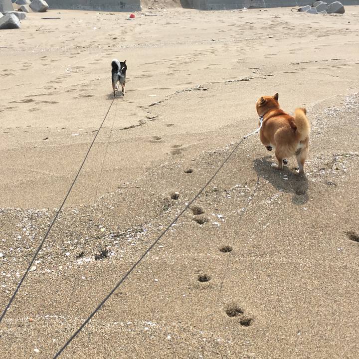 3364169a cecc 4fd1 b848 ad7f548dbc76 1522015194053