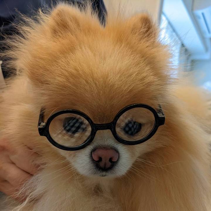 33642d55 963d 44ba 9c30 abc7e3aa18d6 1659677806116