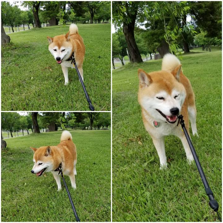 33646913 f934 4a58 bad5 794e2003f815 1593070401702