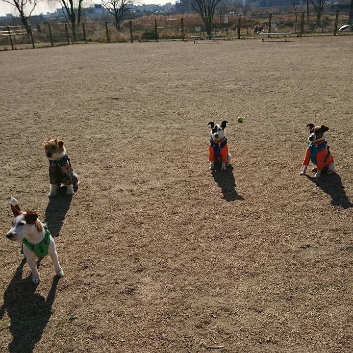 33649575 4746 49b8 8623 989b28ad833c 1611229833101