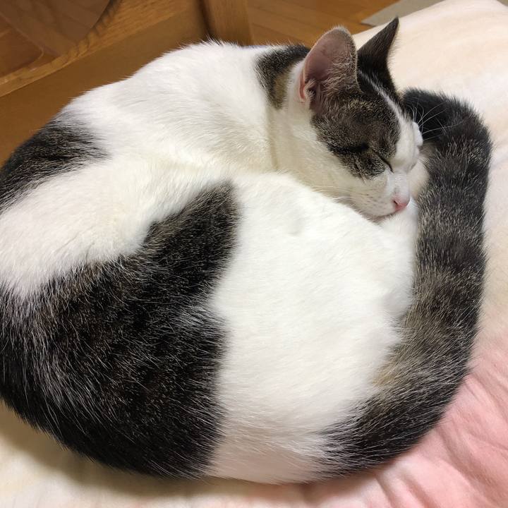 336499cf 40c3 4eb0 a89d d72509358e92 1602079219296