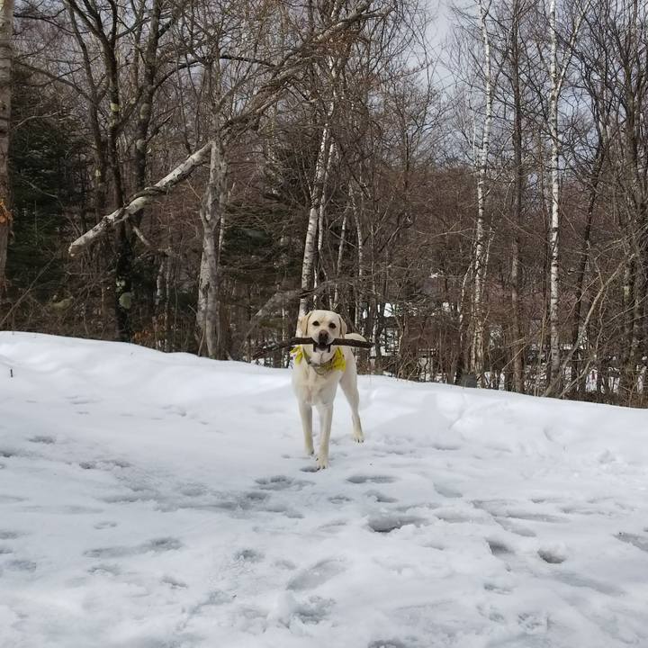 33649c79 3f1d 4d2d 9812 c04c0c15ea77 1515496204519