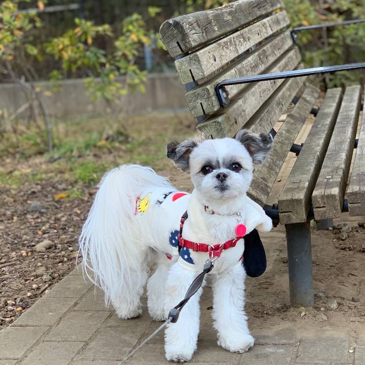 3364c1b5 0bc3 4fcd b9ec 590e6c8a4acf 1547801430368