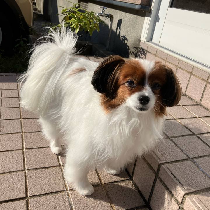 3364e9d4 117d 43a1 9baf 0962d64e0409 1728801182258