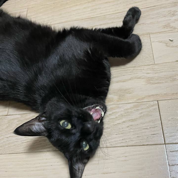 3364fc70 28fb 4464 a071 29a5b38f3db9 1721826742072