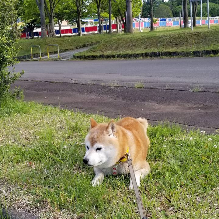 33651288 cf85 489d a49f 27d221edb7bd 1684913728995