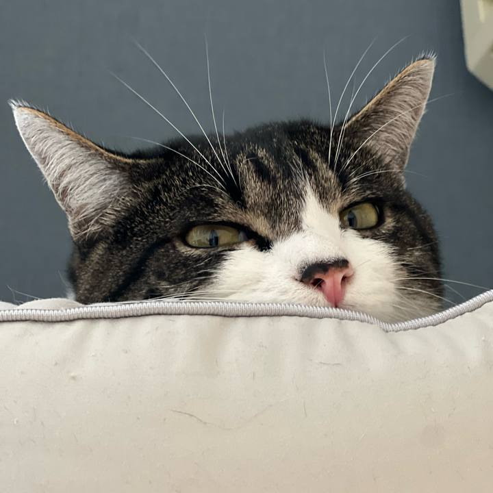 33655201 707a 48fb 82d9 90854edaf7b7 1759322497929