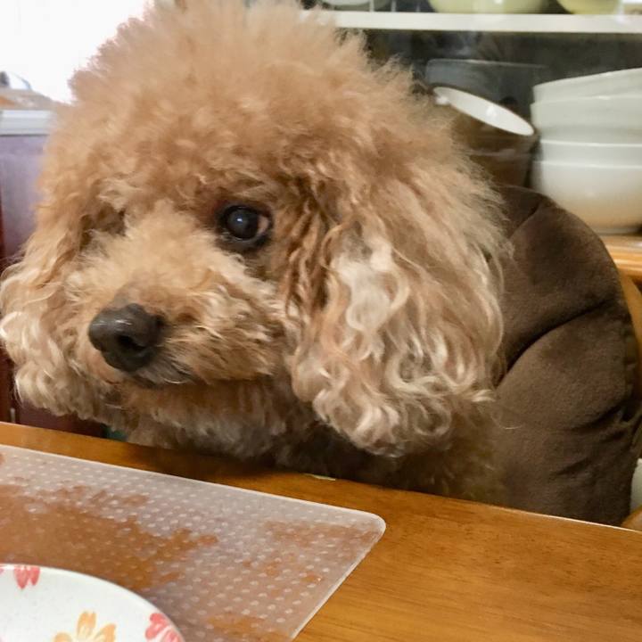 33655b49 d5b2 4b55 83c9 24b54911f060 1521172133672