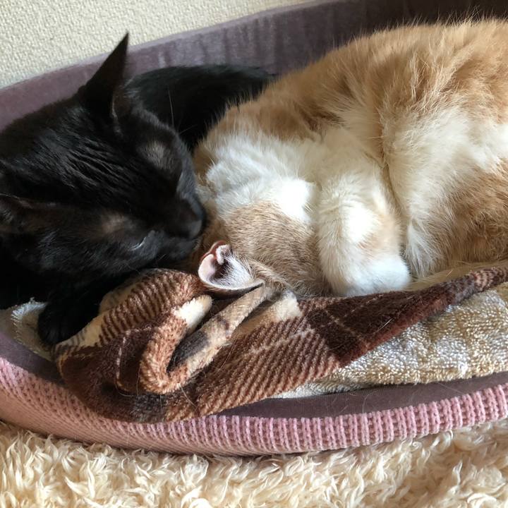 33655f77 f1f8 451a 92c8 c3f89dc44f36 1612683031223