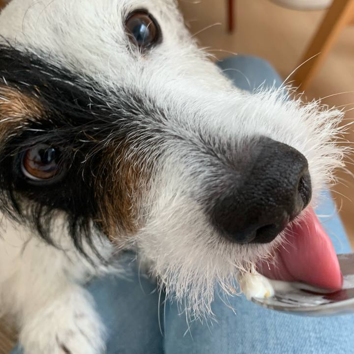 33656c36 3d46 4845 94da 8e40b17fe186 1622849376588