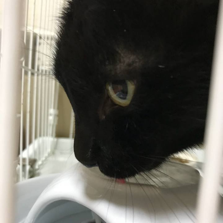 33657ce6 3ca9 4f38 ac5d 45cd4fcece46 1510361351253