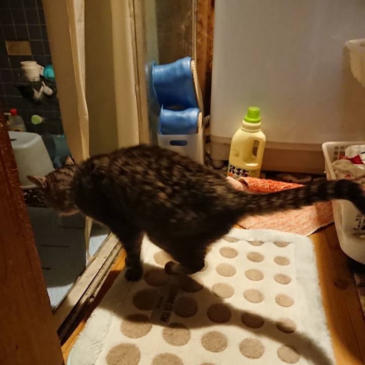 33659fd7 4616 441c 90c9 4bb7c5f620b1 1573373922901