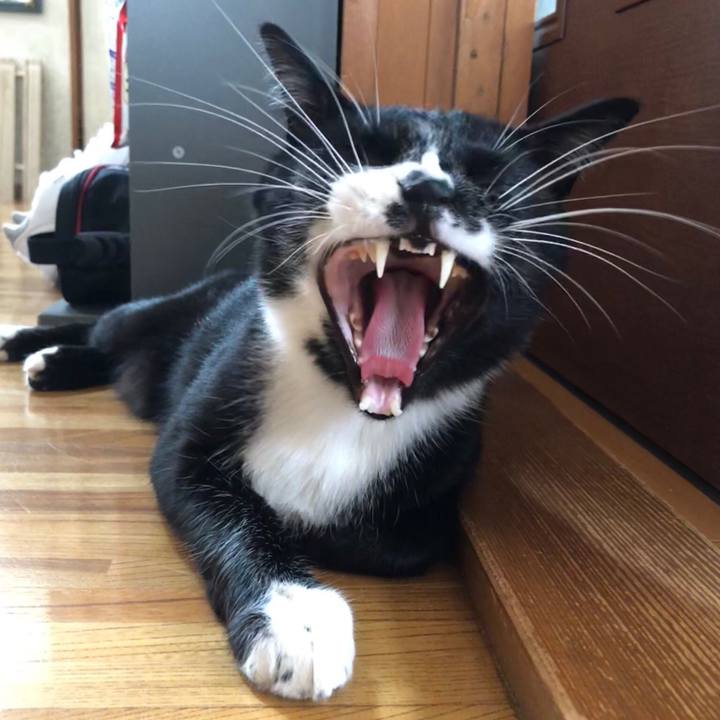 3365bdbe 5b01 4dc2 b7c5 a8ffe3a2e255 1536814701690