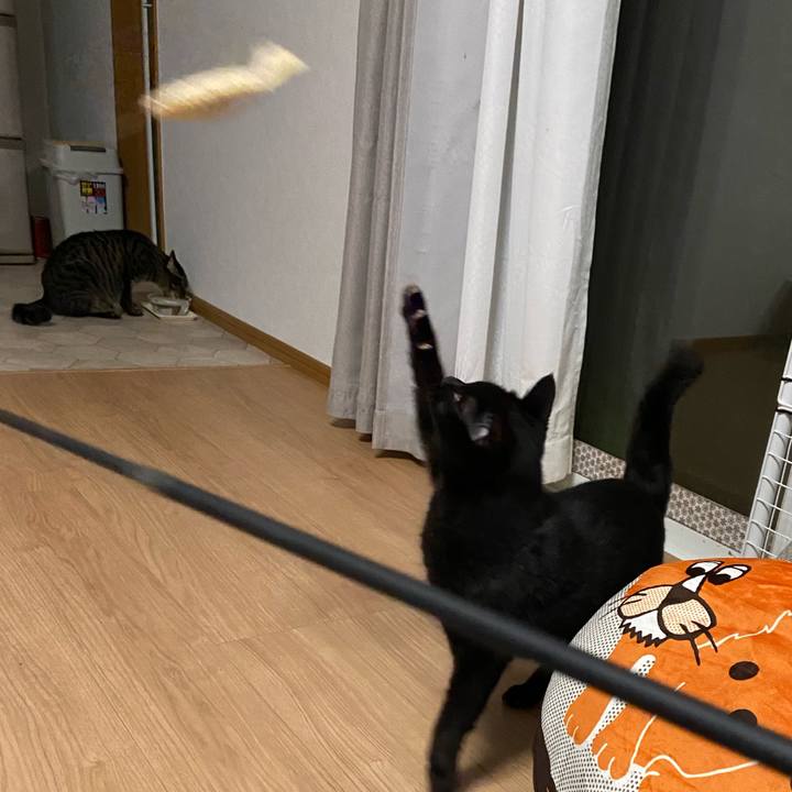 3365fdba e053 4c60 9e22 cd1053ca267c 1631357906180