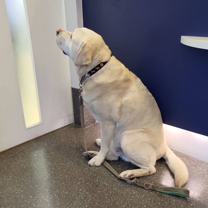 33662180 6a6b 4f64 b819 90d8e8fd4486 1709381522117