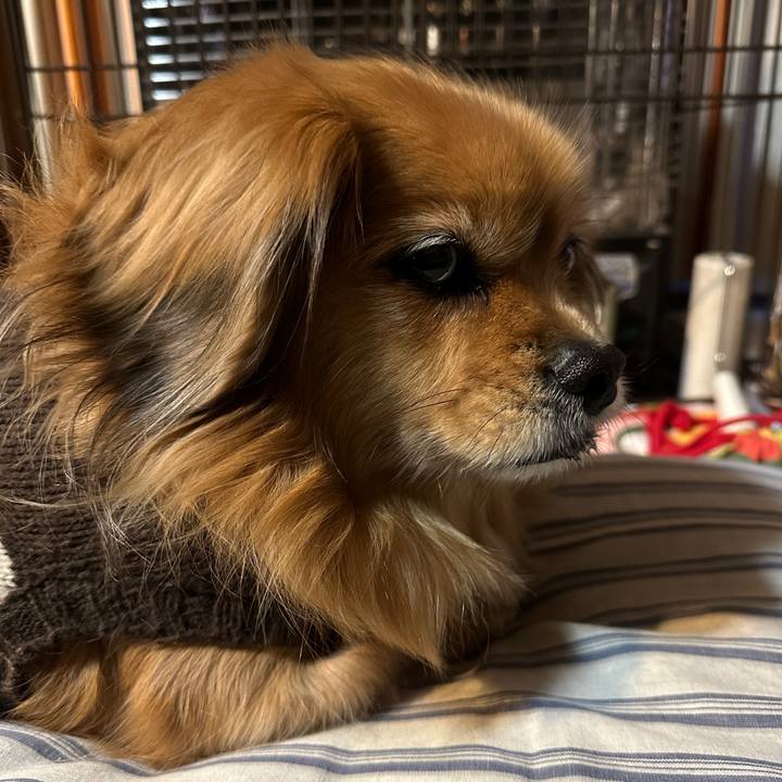 33663f91 e440 4071 b022 5c88260a3b6c 1738791210140