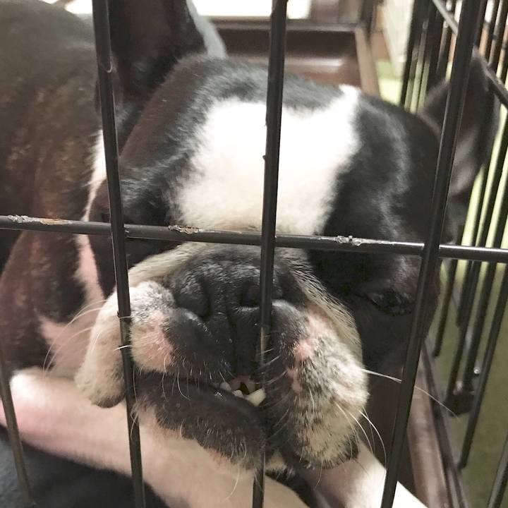 33664b23 8abf 428e 9147 3a8a0649af15 1554076268394