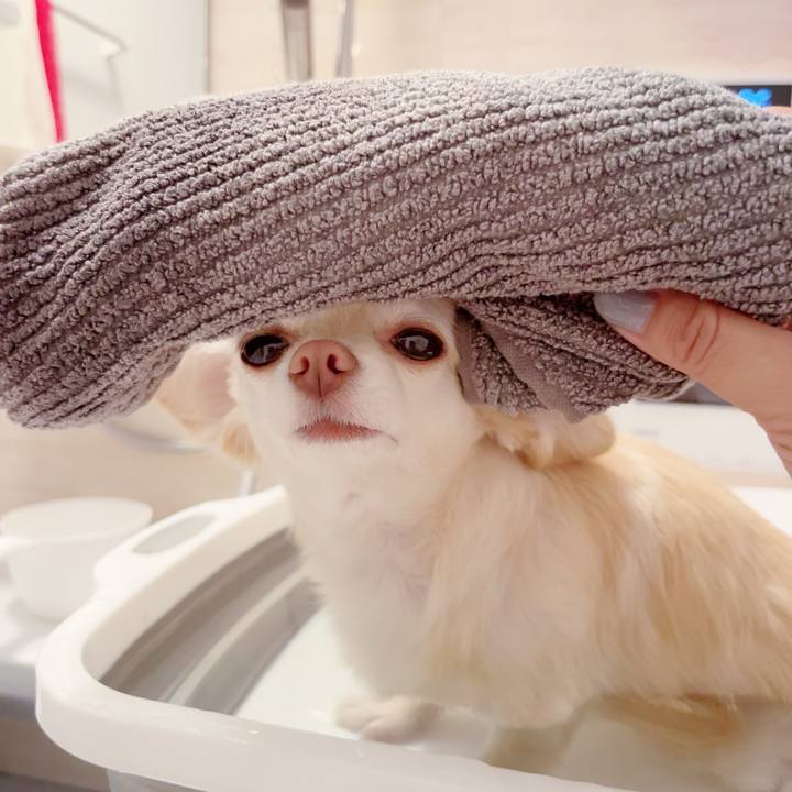 33664b4d cdc2 4652 b596 8939ebcd81a1 1687521032921