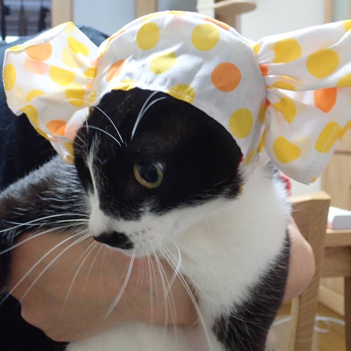 33667c32 d5e3 44a4 bdd3 1e767d24614c 1529075931957