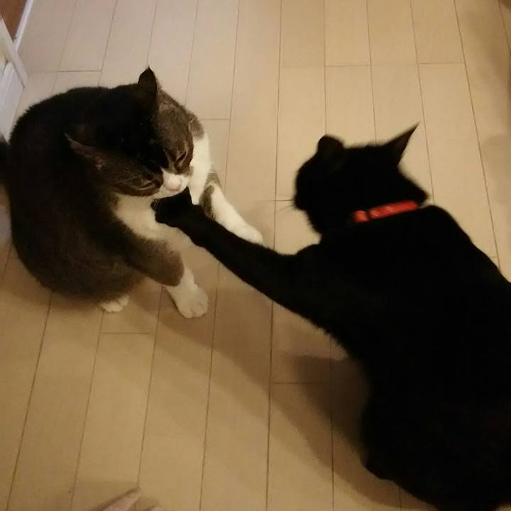 33668b3c 3f56 4a6e 8699 b2a0cdf3d724 1555500406732