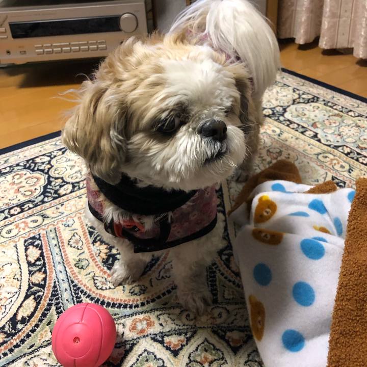 3366c258 d8ef 4be6 ab98 d1a0320dfd1a 1582234555975