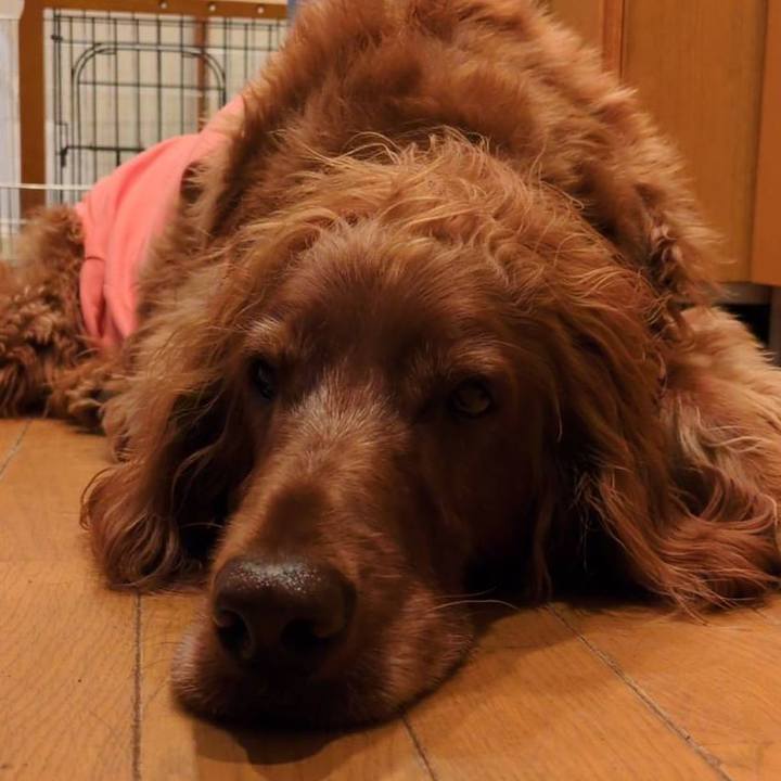 3366cddf 4086 4c96 86a0 5398e1b87016 1765149677386