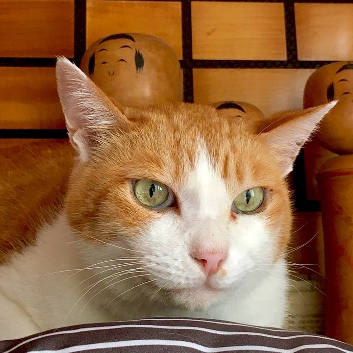 3366d751 6b5b 4d9c 9f9d e1c262e91934 1601972649064