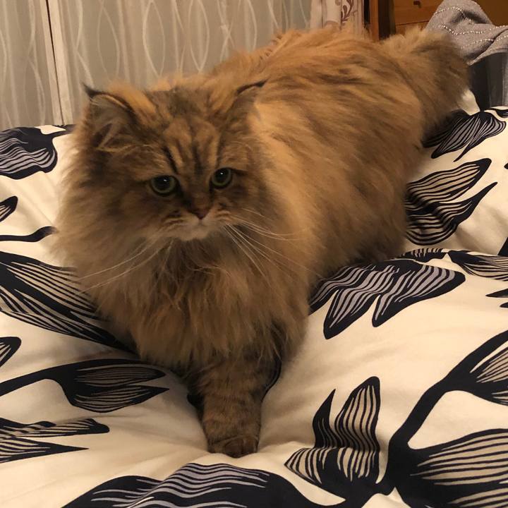 33673d6b 0a29 4fb4 ae3e f1ea2aa8894e 1579059874939