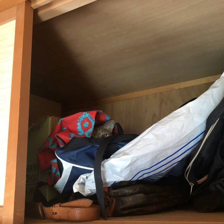 336745ee dfd3 48dd b6a8 6fdefeb3e353 1592104339583