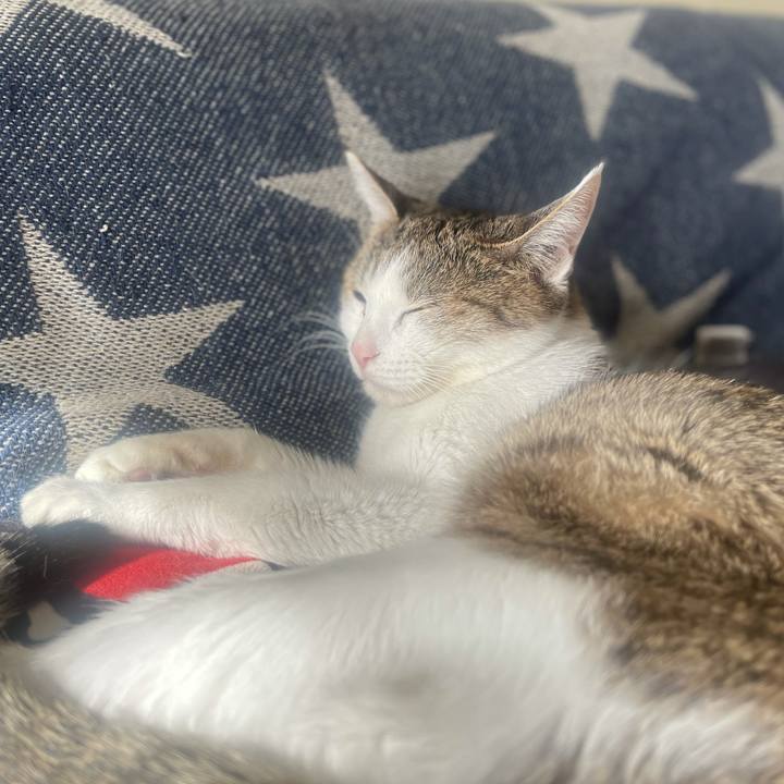 3367891d ecc8 4eb3 8b74 2469a64c2f4a 1637371299507