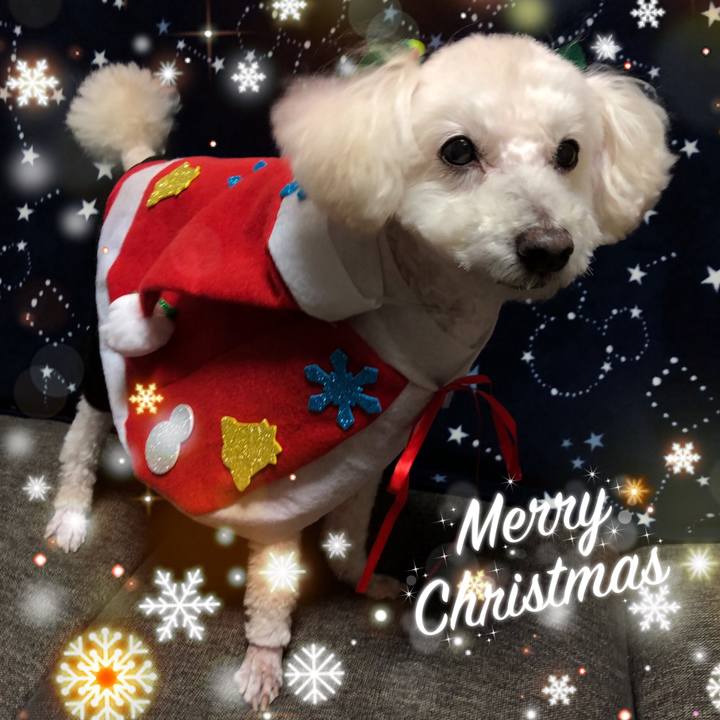 3367a93b e820 46cd b75a 22776585ac40 1545661516575