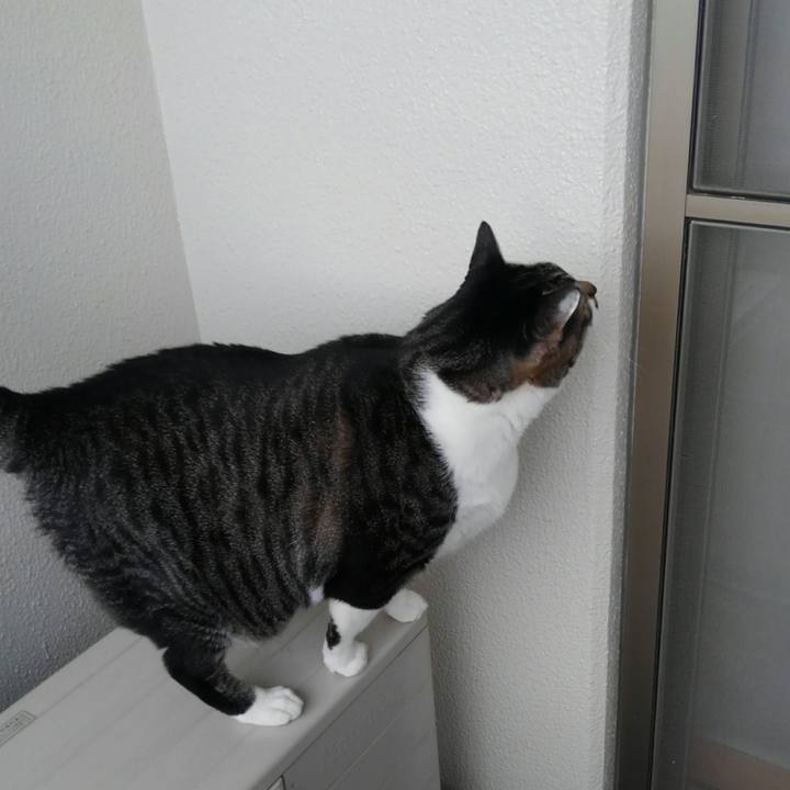 3367b059 9951 4c3e a920 c7f9d3d742dd 1515992590534