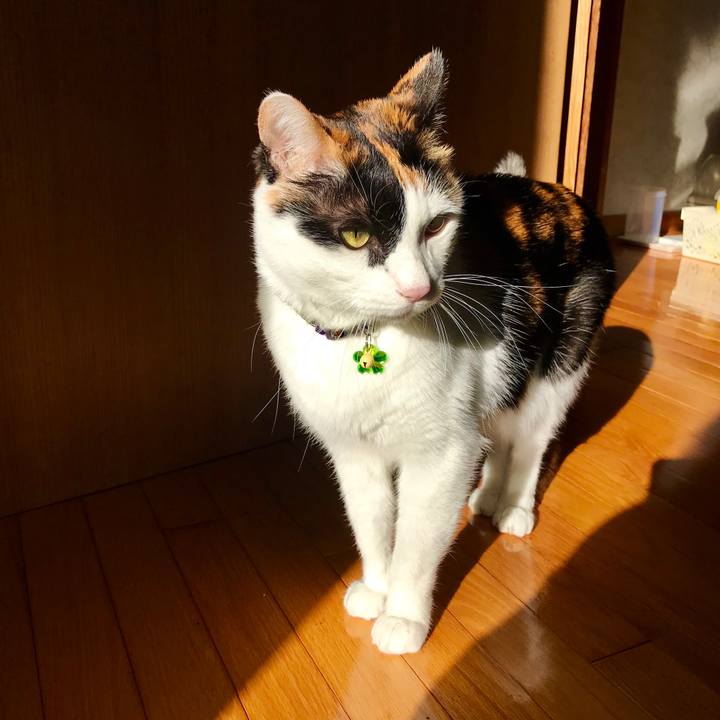 3367f305 b959 4ad6 b694 a109cacacad4 1545871904188