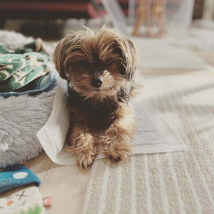 336823da 5c6f 422b b8e8 b423d4171a77 1671234642758