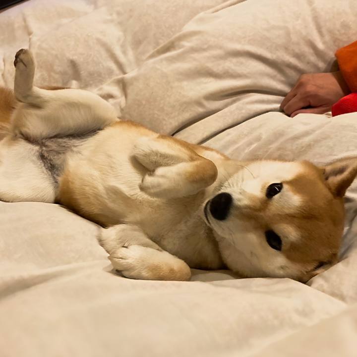 33682af5 f16c 42a7 8d14 82adbb9023b4 1680830275901