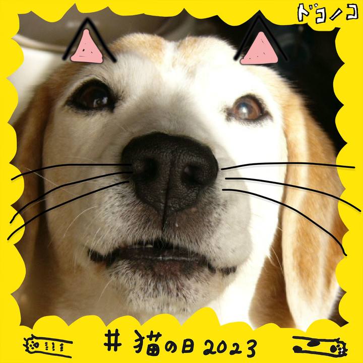 33682f76 239f 4e8e 9c69 36d238ab3a9f 1677031281821