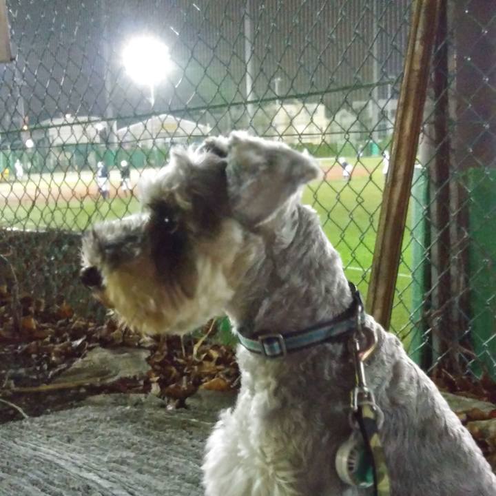 3368418f c46f 43a5 a844 bebfa58d77f7 1540587427499