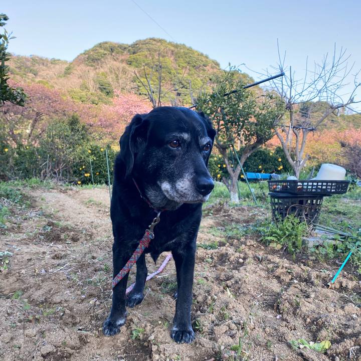 33684545 2e2e 46a9 8a3f 5febb40fb844 1678234483877