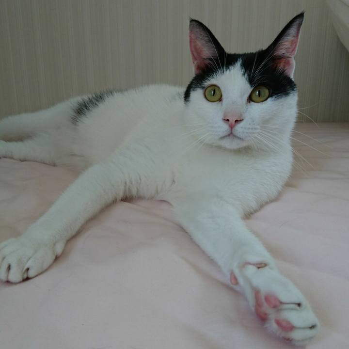 33684970 126f 4599 a322 1816e8c28ee8 1519555249544