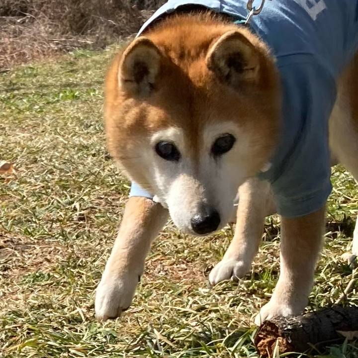 33686d24 73d9 4fb7 a6d6 4dab96ea25a9 1772259819893