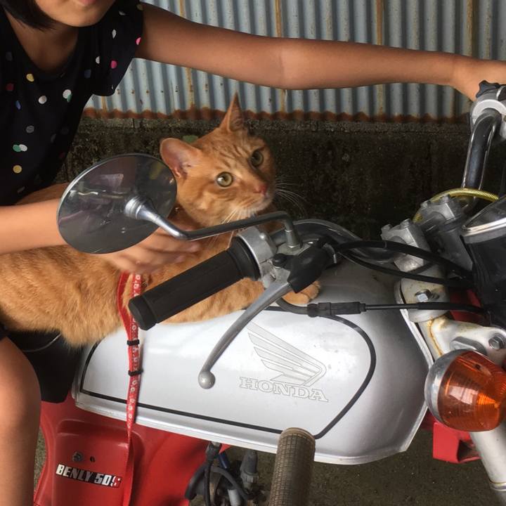 33687361 26d3 4a29 8a7c 42ad96833abc 1536990993799