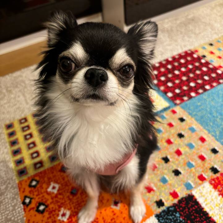 3368b04a 6a2f 4956 b2f8 6f1b91dec838 1731256624254