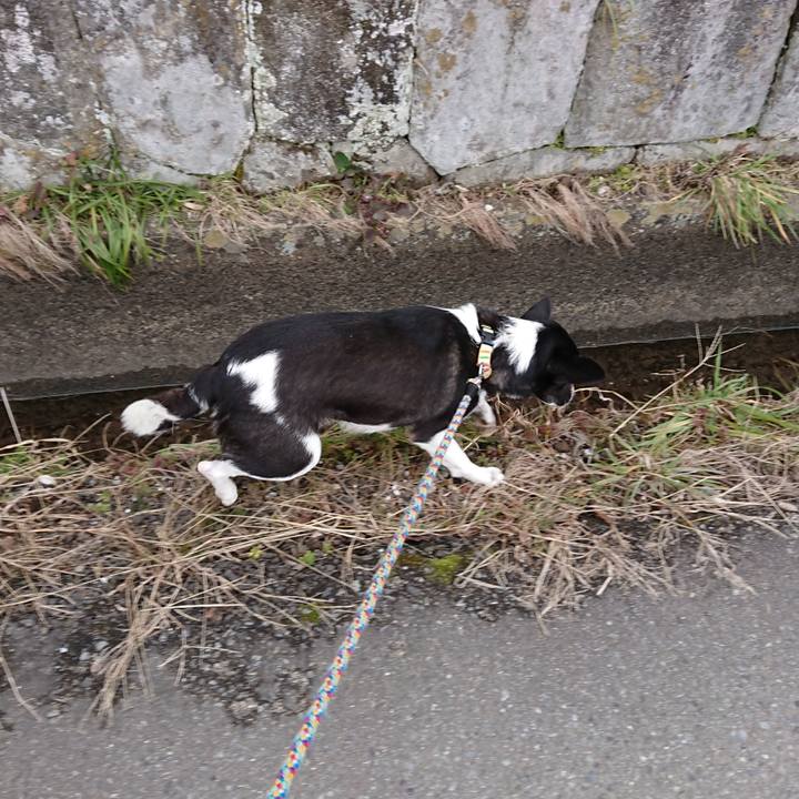 3368ce2a 27e4 498a 8e97 0f84a9bccde8 1549702729725