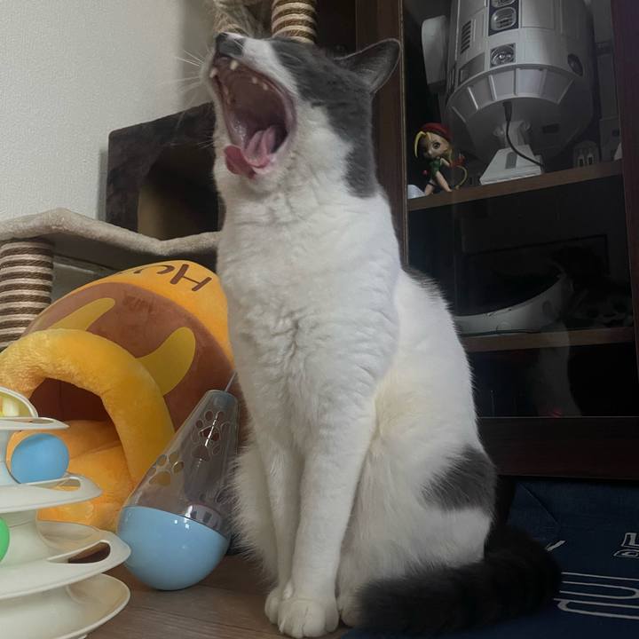 3368e45b fca5 4855 ad2f 69f2b1189114 1692610218390