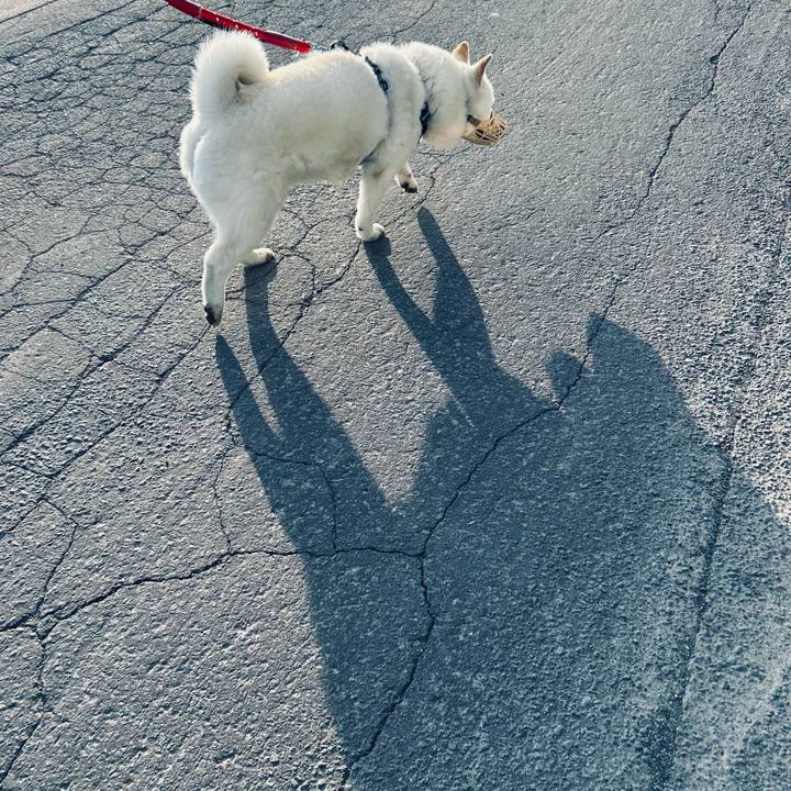 3368ff5a b715 4816 824b 3cb9c77dddfe 1684530211158